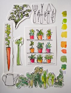 an assortment of potted plants are displayed on a white surface with color swatches