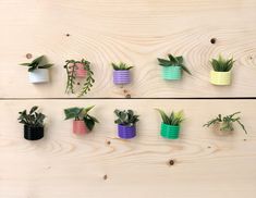 a group of small potted plants sitting on top of a wooden table next to each other