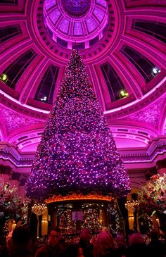 a large christmas tree is lit up in the middle of a room with purple lights