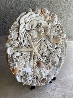 there is a large circular sculpture made out of seashells and sand dollarfish