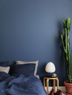 a bedroom with blue walls and a large cactus plant on the side of the bed