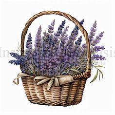 a basket with lavender flowers in it