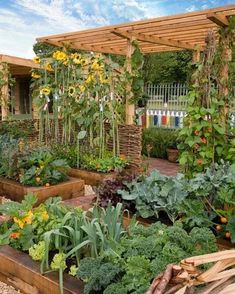 an outdoor garden with lots of plants and flowers