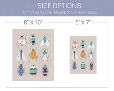 the size options for each insect are shown in three different colors and sizes, including one with