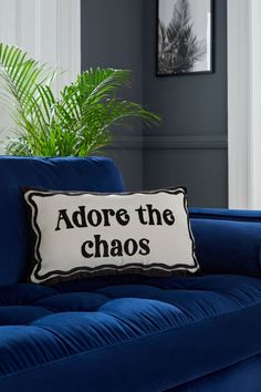 a blue couch with a pillow that says adore the chaos