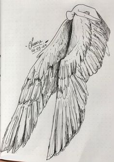 a drawing of a bird flying in the sky