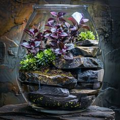 a glass vase filled with rocks and plants