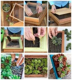 many different pictures of plants and people using scissors to cut them into small squares on top of each other