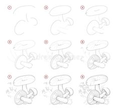 step by step instructions to draw mushrooms