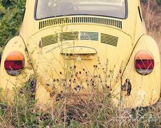 an old yellow vw bug sitting in the middle of a field with weeds growing on it