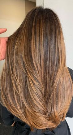 Copper Brown Hair, Hair Cuticle, Caramel Highlights