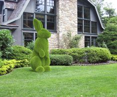 a large green bunny sitting on top of a lush green field next to a house