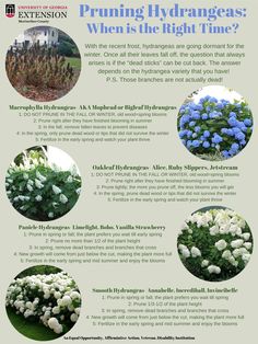 the different types of flowers are shown in this info sheet for each type of plant