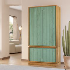 a green cabinet sitting in the middle of a living room next to a potted cactus