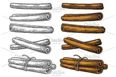 different types of cinnamons on a white background, hand drawn illustration in vintage woodcut style