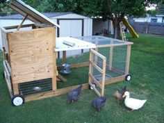 several chickens are walking around in the grass near a chicken coop and an outdoor kitchen