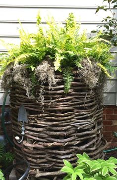 a planter made out of branches with plants in it