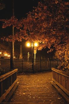 a wooden walkway leading to a park at night with street lights and trees in the background