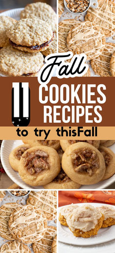 Fall cookie recipes photo collage with text overlay. Fall Cookies Easy, Autumn Cookies Recipes, Pecan Cookies Easy, Pumpkin Pie Cookie, Holiday Cookies Thanksgiving, Maple Cookies Recipe, Halloween Baking Recipes, Simple Holiday Cookie Recipes, Pumpkin Cookies Easy