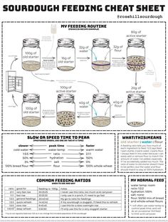 an info sheet describing how to use sourdough feeding chafet sheet