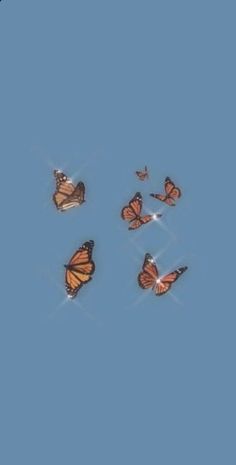 several butterflies flying in the sky together