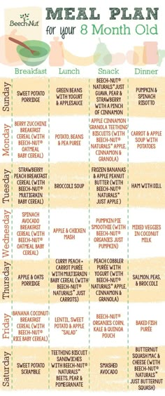 the meal plan for your 3 month old