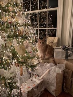 a cat sitting on top of presents under a christmas tree