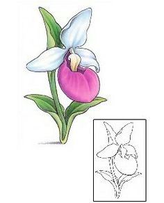 a drawing of a purple flower with white flowers