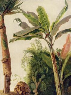 a painting of tropical plants and trees