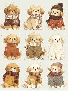 six dogs wearing sweaters and scarfs in the snow with hats, scarves and mittens