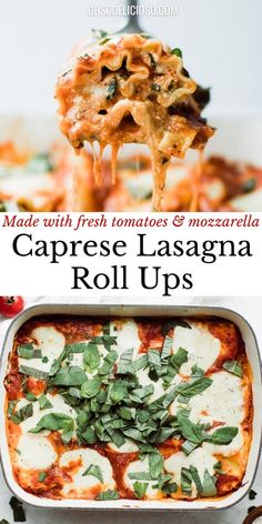 the recipe for caprese lasagna roll ups with fresh tomatoes and mozzarella