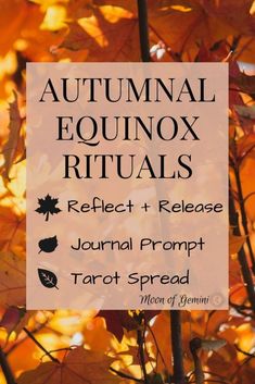 an autumn equinnox ritual is shown with the words reflect and release journal from tarot spread