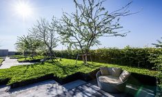 the sun shines brightly over an outdoor area with green grass, trees and lawn furniture