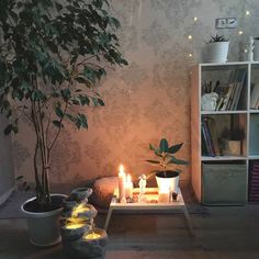 a living room filled with furniture and a potted plant on top of a table