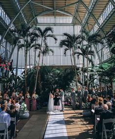 a bride and groom standing at the end of their wedding ceremony with palm trees in the background