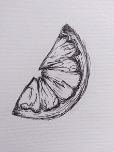 a drawing of a butterfly sitting on top of a piece of fruit