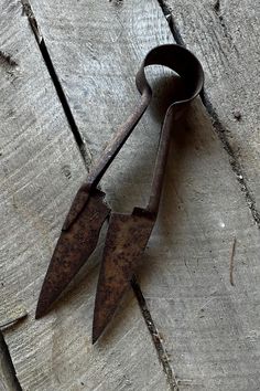 an old pair of scissors sitting on top of a piece of wood