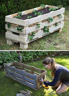 two pictures side by side, one with plants in it and the other with wood pallets