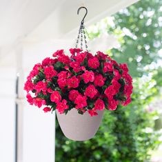 a hanging basket full of red flowers on a porch