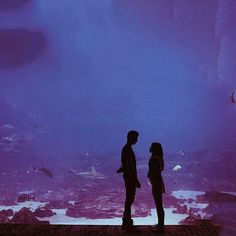 two people standing in front of an aquarium