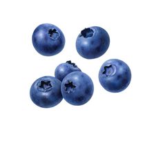 four blueberries are shown on a white background