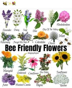 the words bee friendly flowers are written in different languages