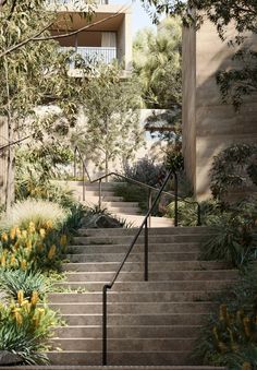 stairs leading up to an apartment building surrounded by trees and bushes with yellow flowers in the foreground