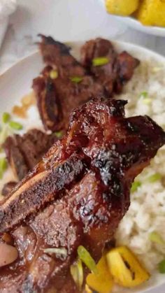 some meat and rice on a white plate