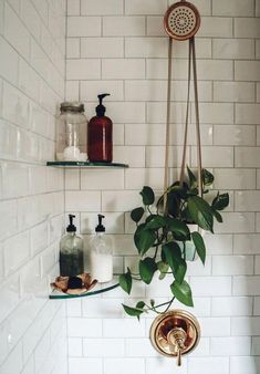 a white tiled bathroom with plants and soaps on the shelves