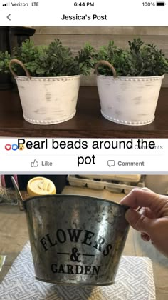 two white buckets filled with plants on top of a table