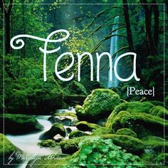 a book cover with the words fema peace in front of a river and forest