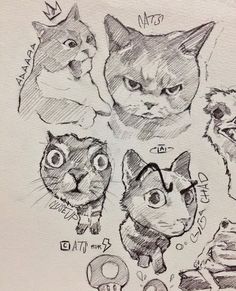 a drawing of cats with different facial expressions