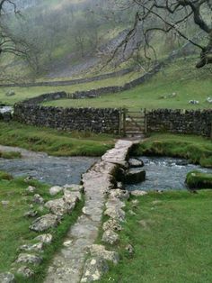 a small stream running through a lush green field next to a stone wall and fence