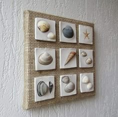 there are many seashells on the wall